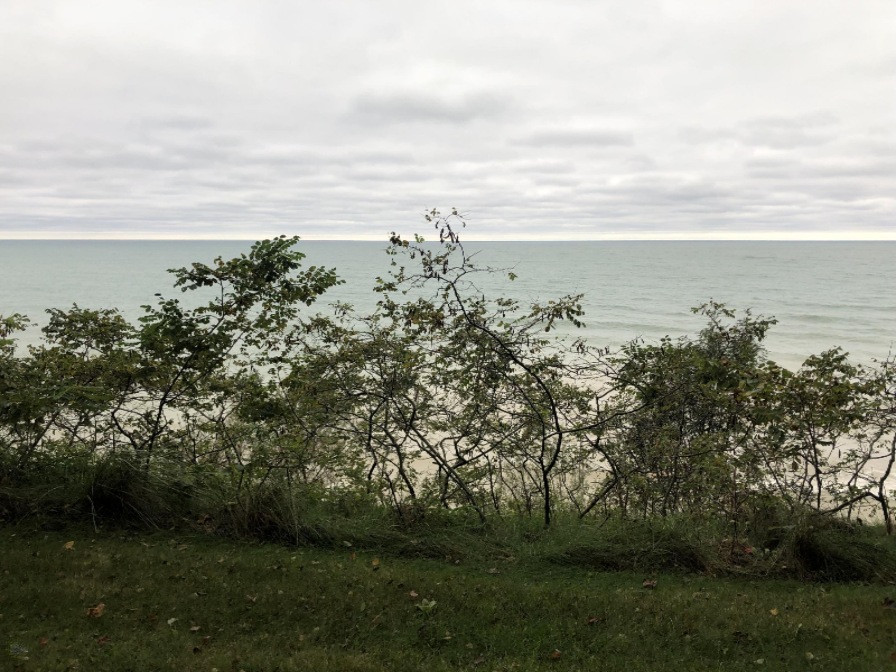 4410 Fox Farm Road Manistee, MI 49660 - Photo 8 of 56 Fabulous Views!