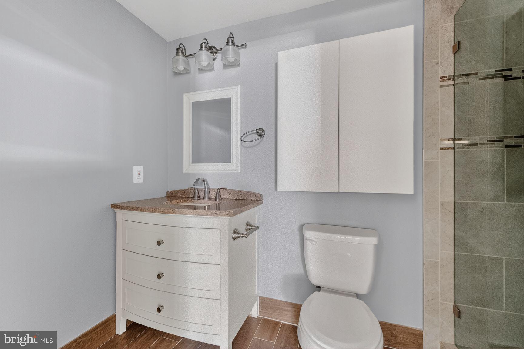 43983 Choptank Terrace Ashburn, VA 20147 - Photo 18 of 21 Modern bathroom with sleek finishes.