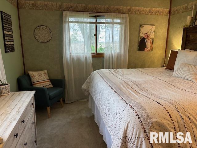 16157 Moore Cemetery Road Carlinville, IL 62626 - Photo 16 of 41