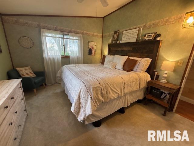 16157 Moore Cemetery Road Carlinville, IL 62626 - Photo 18 of 41