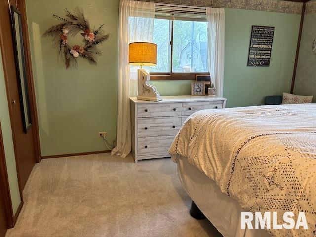 16157 Moore Cemetery Road Carlinville, IL 62626 - Photo 19 of 41