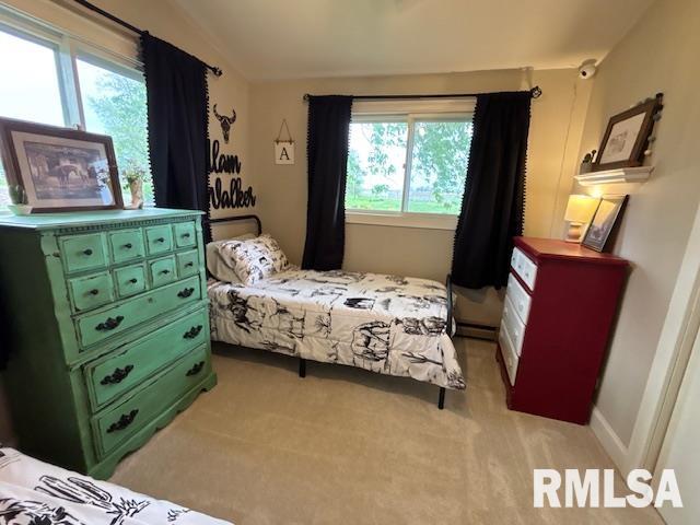 16157 Moore Cemetery Road Carlinville, IL 62626 - Photo 20 of 41