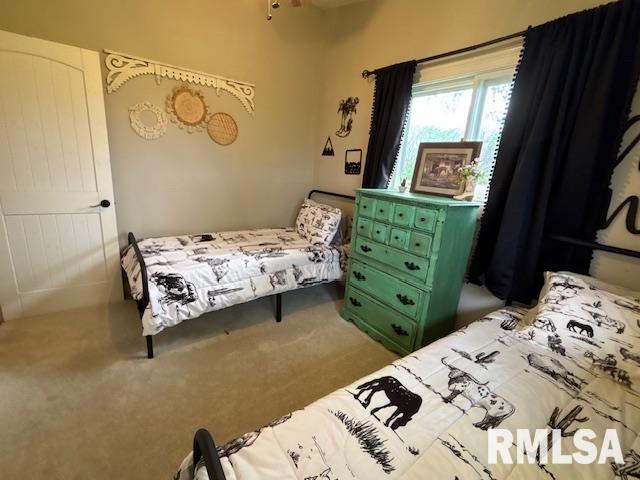 16157 Moore Cemetery Road Carlinville, IL 62626 - Photo 21 of 41