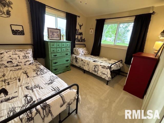 16157 Moore Cemetery Road Carlinville, IL 62626 - Photo 22 of 41