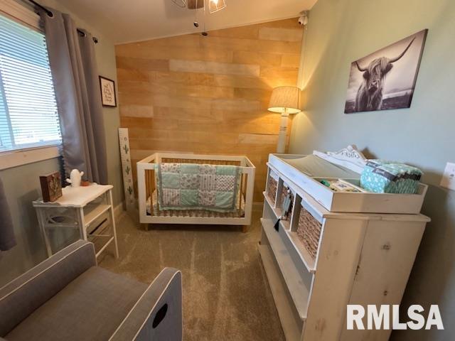 16157 Moore Cemetery Road Carlinville, IL 62626 - Photo 23 of 41