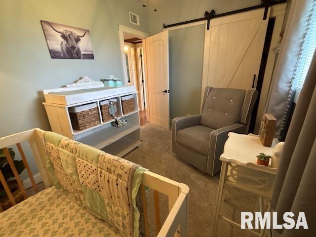 16157 Moore Cemetery Road Carlinville, IL 62626 - Photo 24 of 41