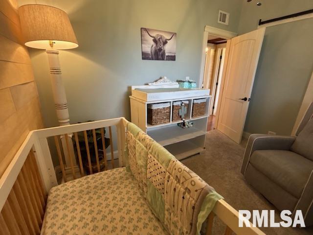 16157 Moore Cemetery Road Carlinville, IL 62626 - Photo 25 of 41