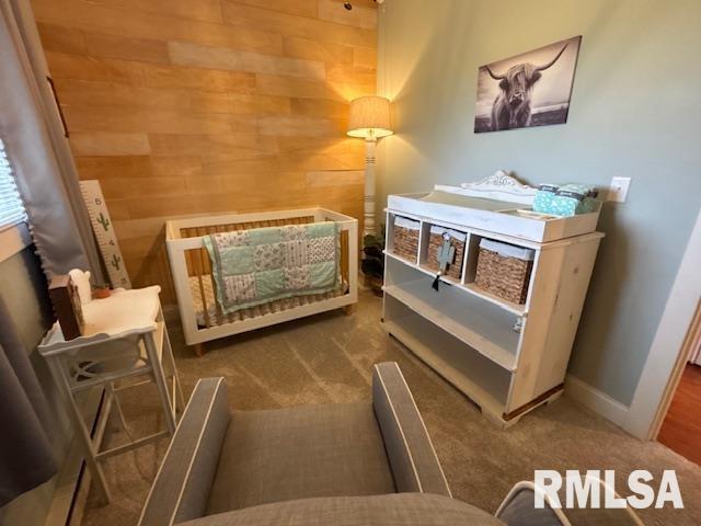 16157 Moore Cemetery Road Carlinville, IL 62626 - Photo 26 of 41