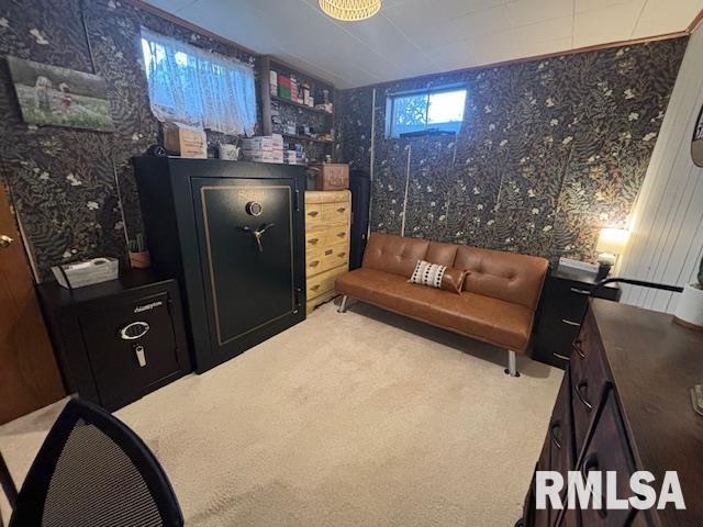 16157 Moore Cemetery Road Carlinville, IL 62626 - Photo 34 of 41