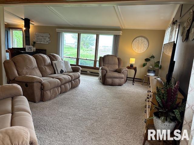 16157 Moore Cemetery Road Carlinville, IL 62626 - Photo 4 of 41