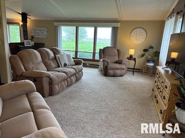 16157 Moore Cemetery Road Carlinville, IL 62626 - Photo 7 of 41