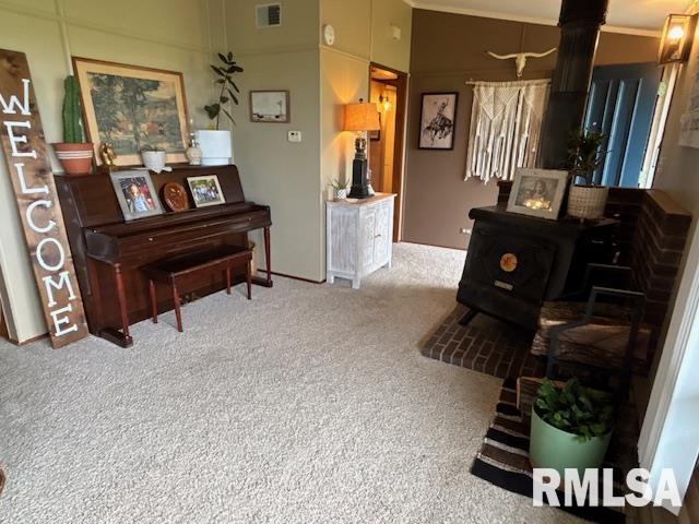 16157 Moore Cemetery Road Carlinville, IL 62626 - Photo 9 of 41