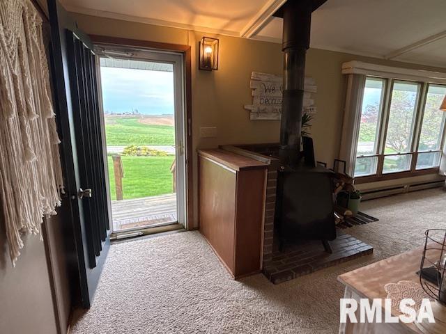 16157 Moore Cemetery Road Carlinville, IL 62626 - Photo 10 of 41