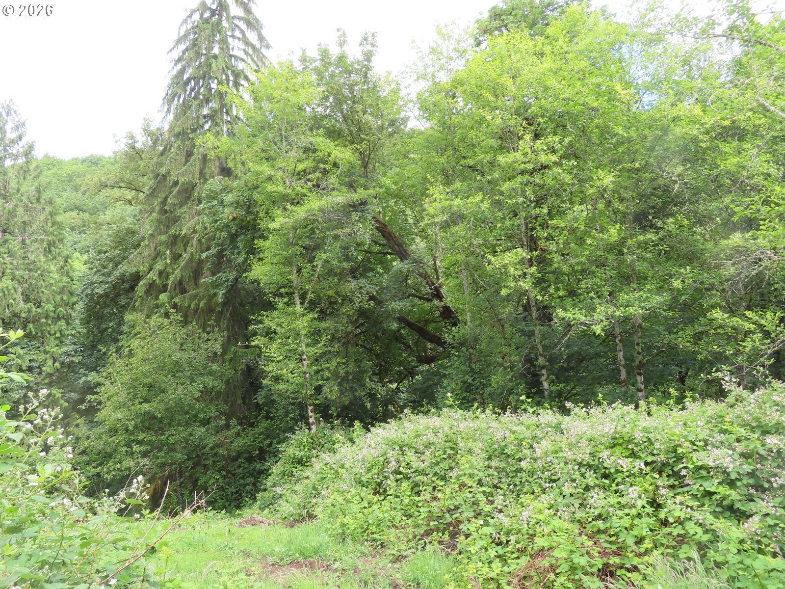 Sylvan Way Longview, WA 98632 - Photo 13 of 17