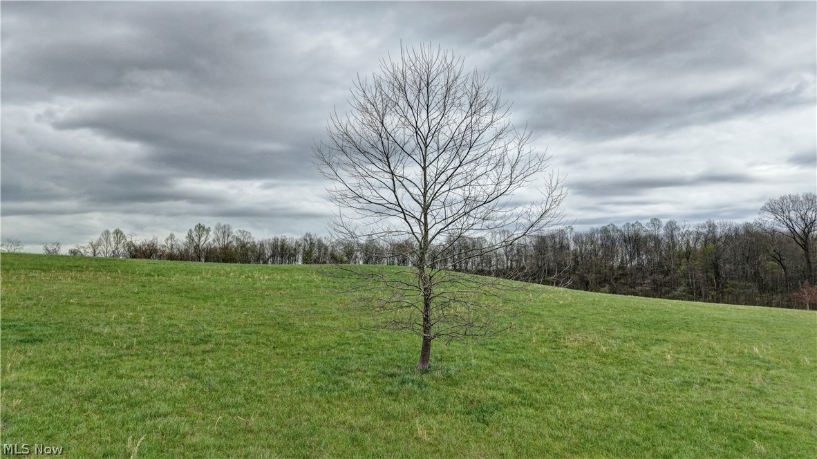 75964 Science Hill Road Kimbolton, OH 43749 - Photo 15 of 37