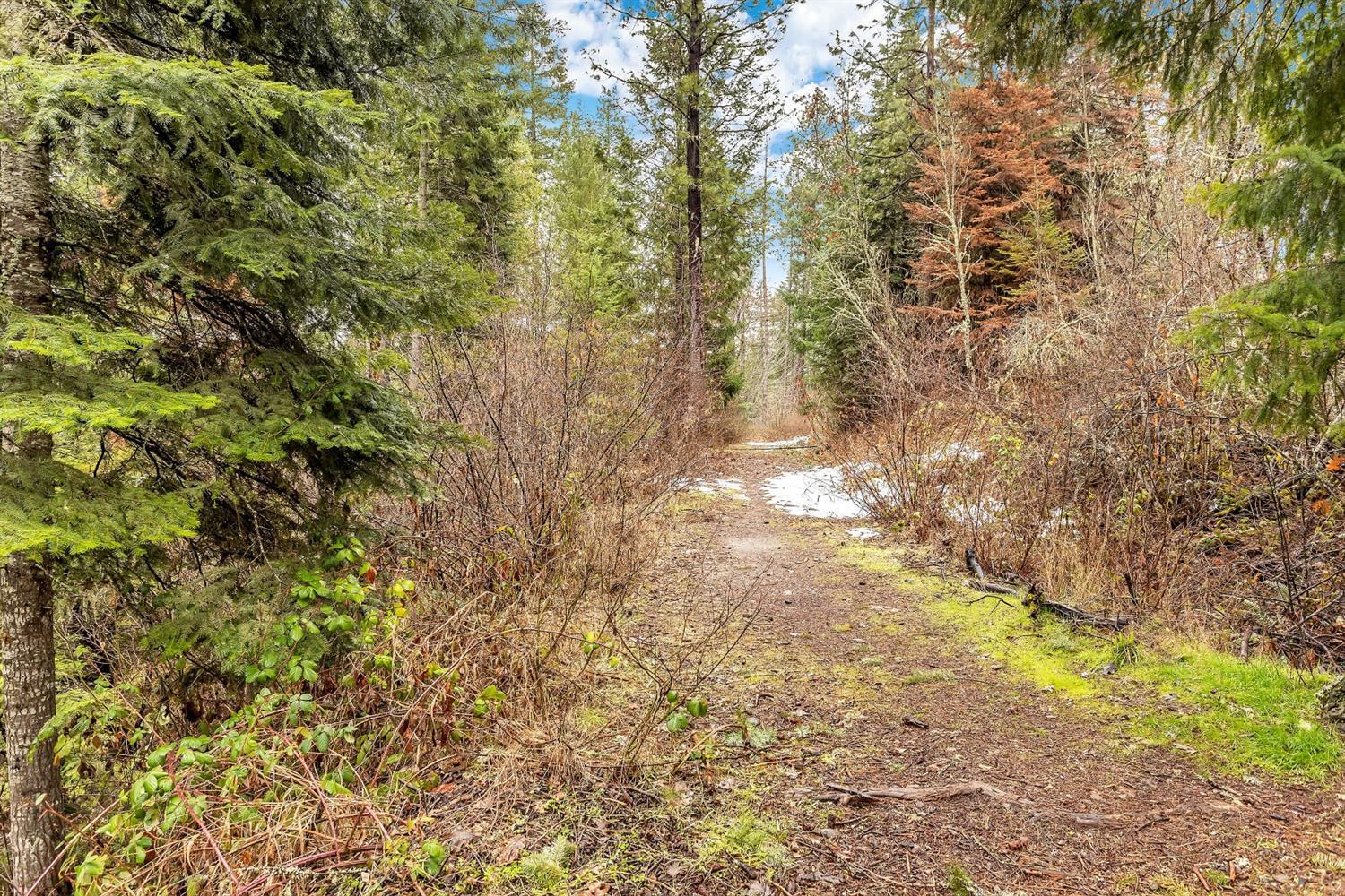 503 Fee Street Butte Falls, OR 97522 - Photo 28 of 35 Trail at the north property line going e