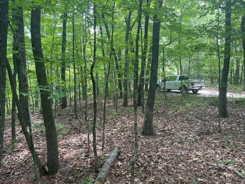 0 Berry Hl Road Murphy, NC 28906 - Photo 1 of 4 Main View