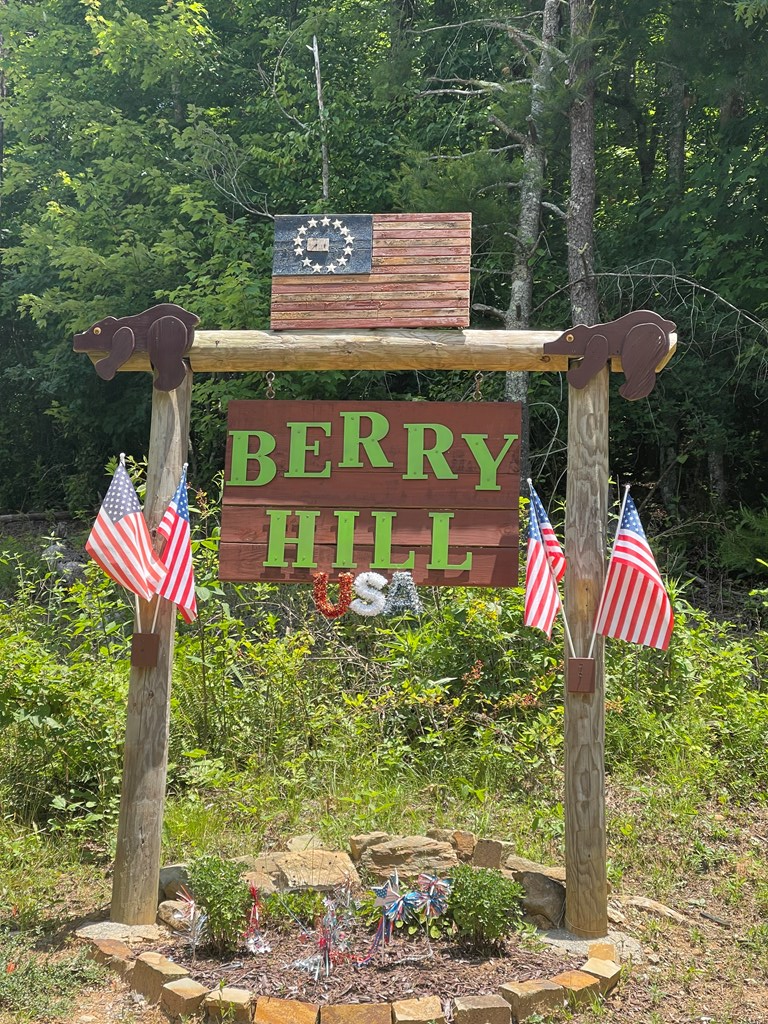 0 Berry Hl Road Murphy, NC 28906 - Photo 2 of 4
