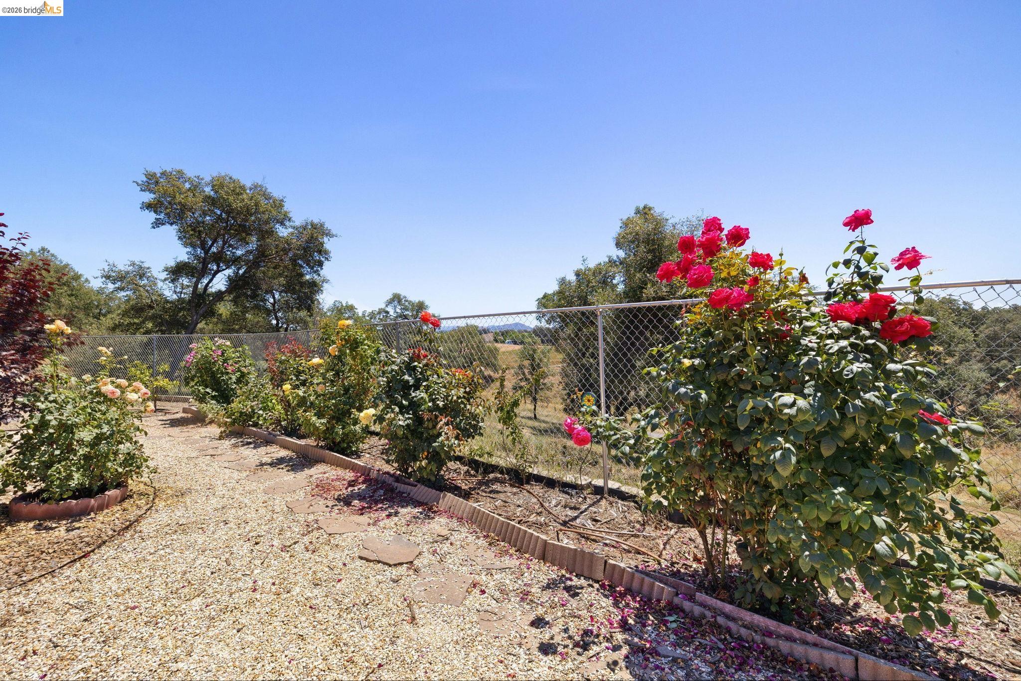 10141 Bell Mooney Road Jamestown, CA 95327 - Photo 47 of 65