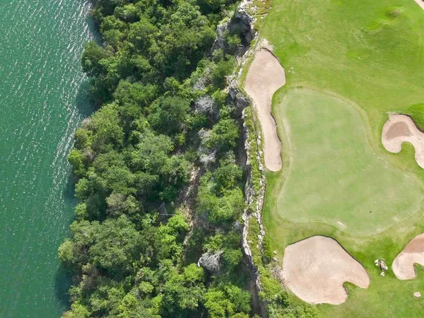 a aerial view of a garden