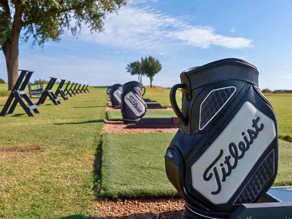 a front view of a garden