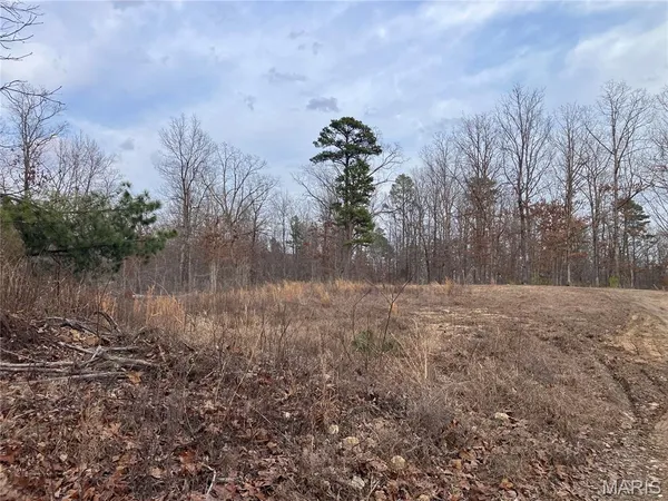 $54,845 | 208 Madison Cr, Fredericktown, MO 63645