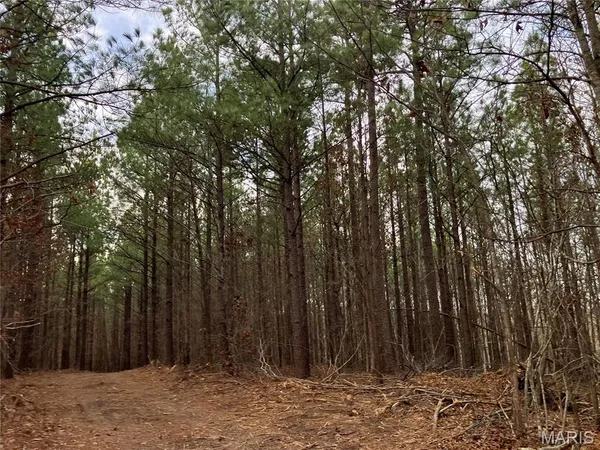 $54,845 | 208 Madison Cr, Fredericktown, MO 63645