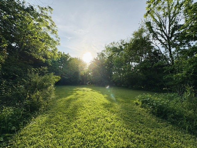 1136 Pierce Road Madison, TN 37115 - Photo 55 of 63