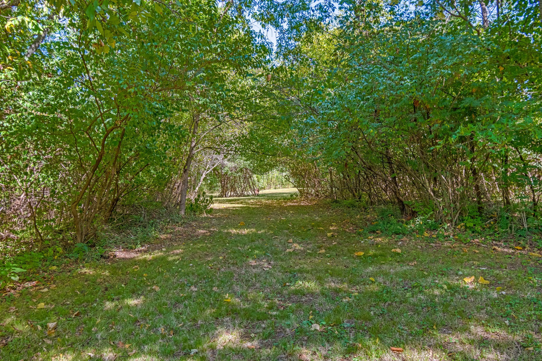 1136 Pierce Road Madison, TN 37115 - Photo 57 of 63 a view of outdoor space and yard