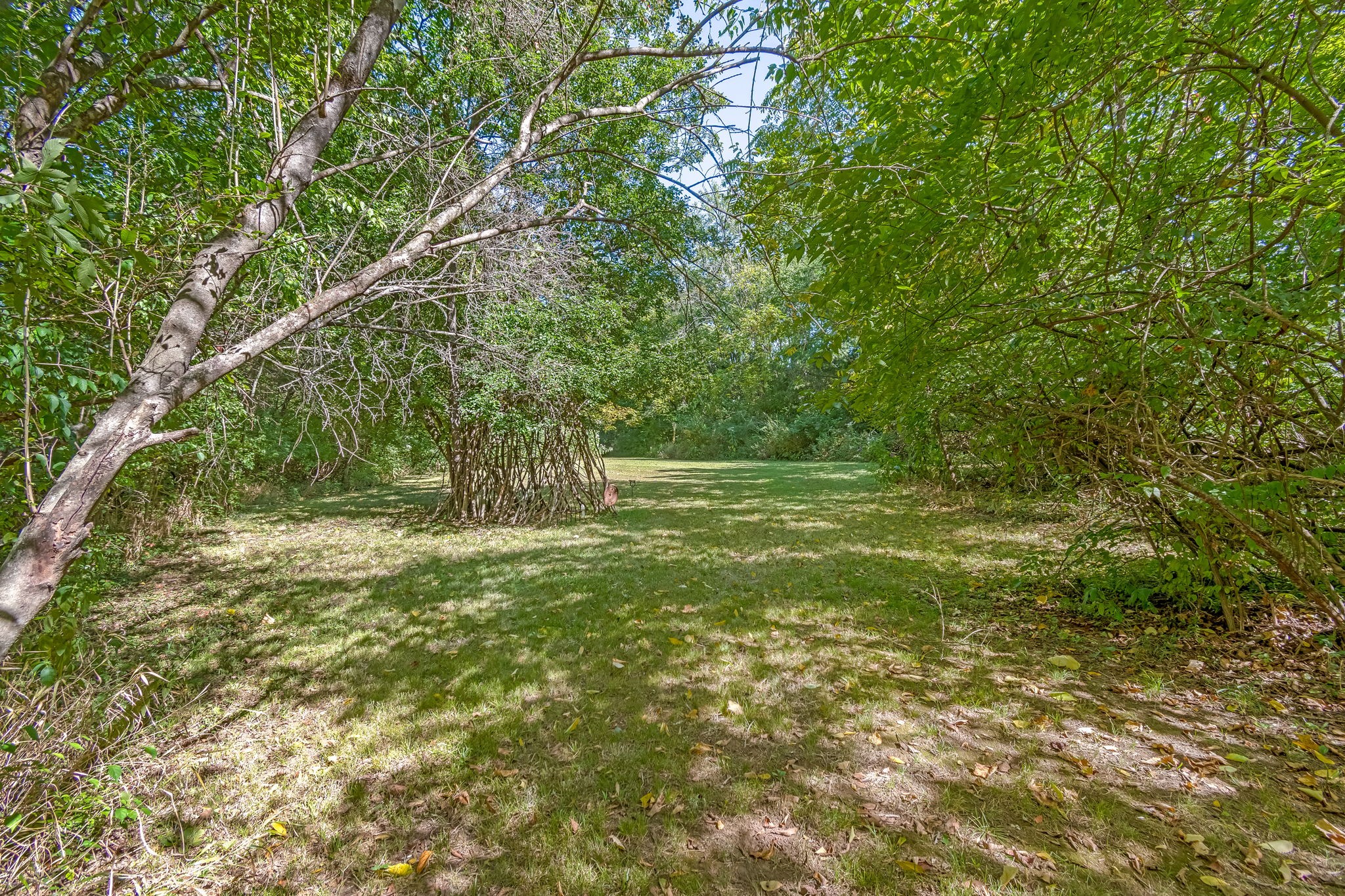 1136 Pierce Road Madison, TN 37115 - Photo 59 of 63 a view of outdoor space with deck and yard