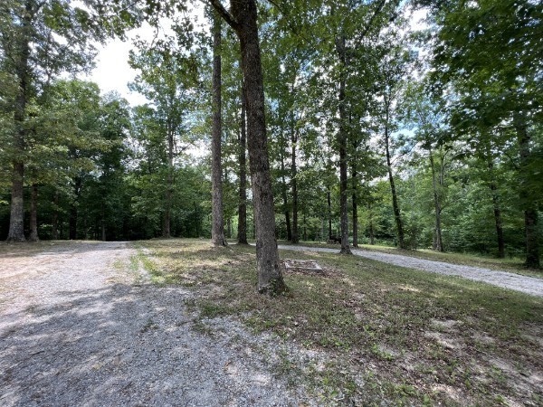 380 Grassy Branch Road Lawrenceburg, TN 38464 - Photo 22 of 24 Gallery Image 22
