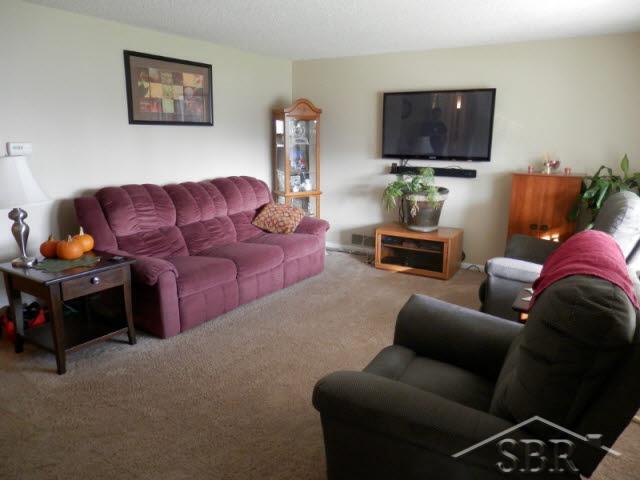 175 Lewis Road Freeland, MI 48623 - Photo 5 of 10 20105956-4.JPG