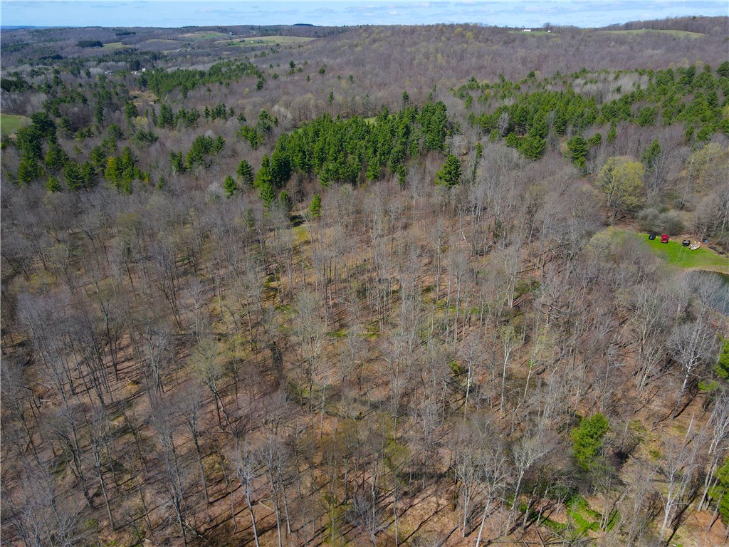 2856 Zimmer Road Scio, NY 14880 - Photo 43 of 50