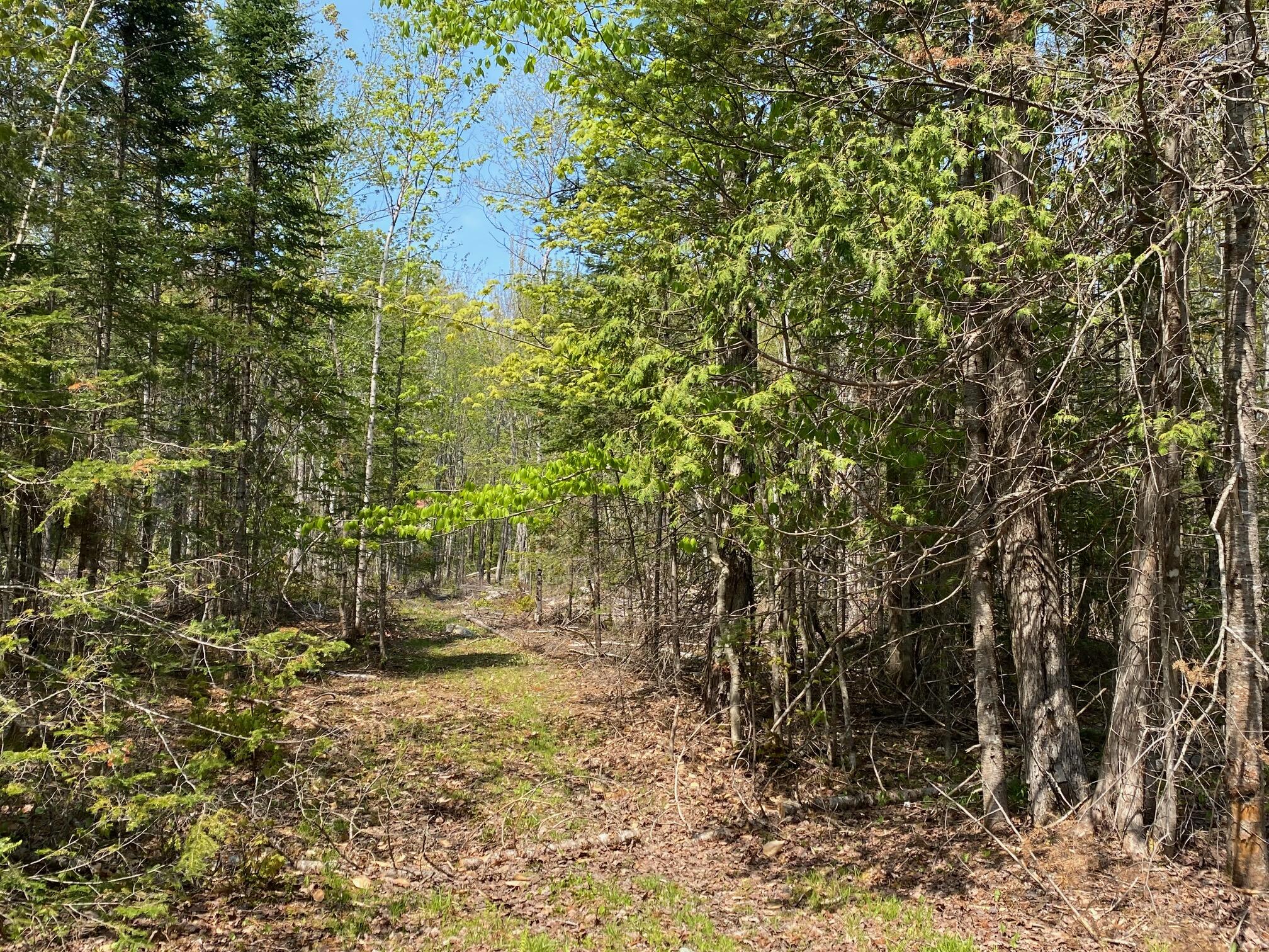 12-5 Degerstrom Road Monson, ME 04464 - Photo 17 of 19 IMG_7824