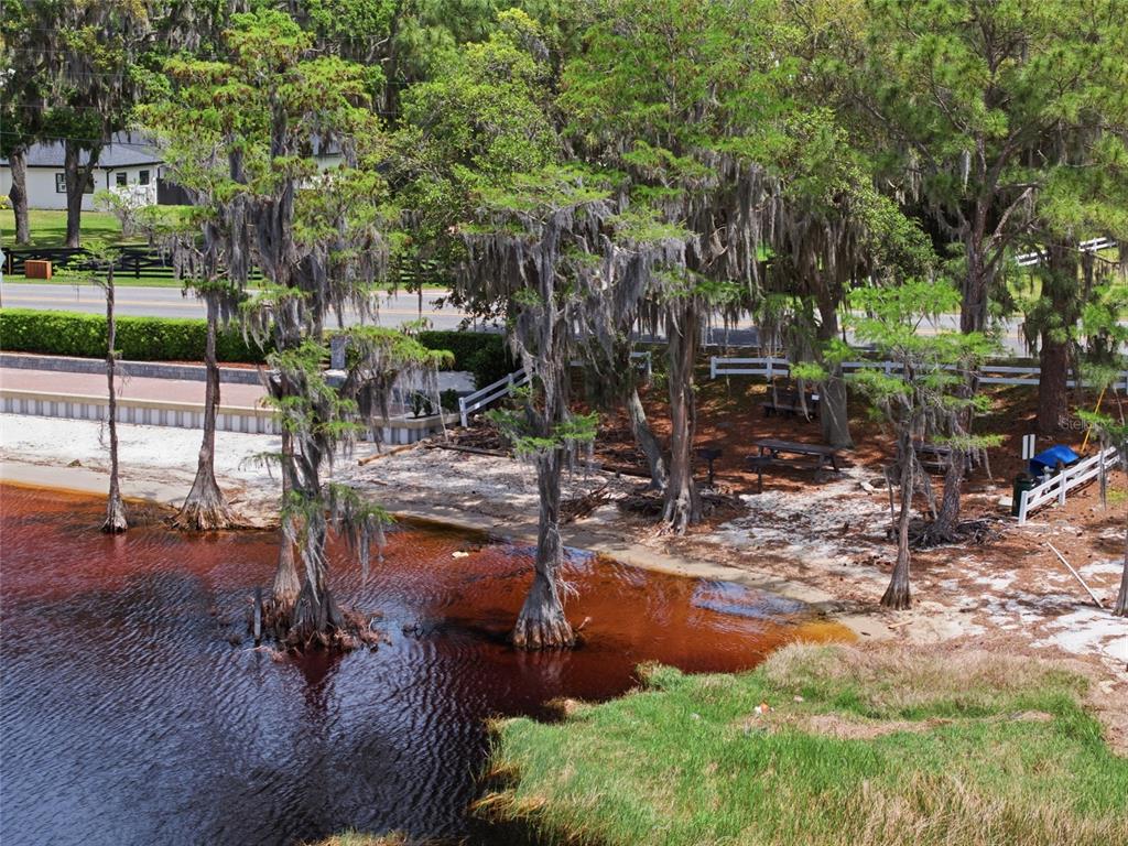 12841 Valley Ridge Road Clermont, FL 34711 - Photo 42 of 49