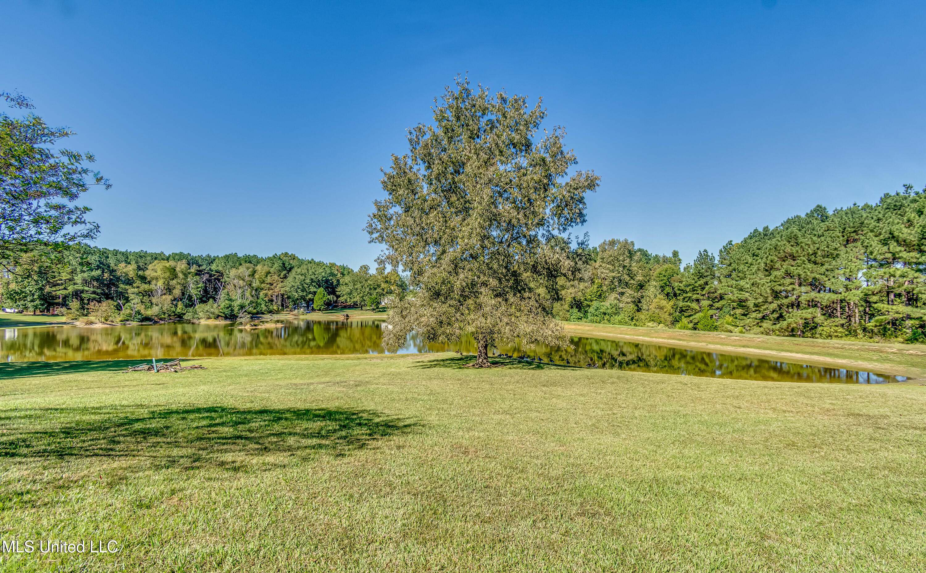 254 Waldrop Road Flora, MS 39071 - Photo 45 of 49 254 Waldrop Rd-52