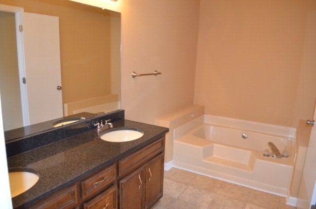 1689 Johnson Road Macon, GA 31220 - Photo 10 of 17 a bathroom with a granite countertop sink and a mirror