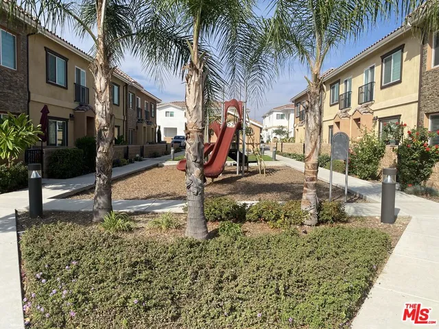 a view of a yard with plants and palm tree