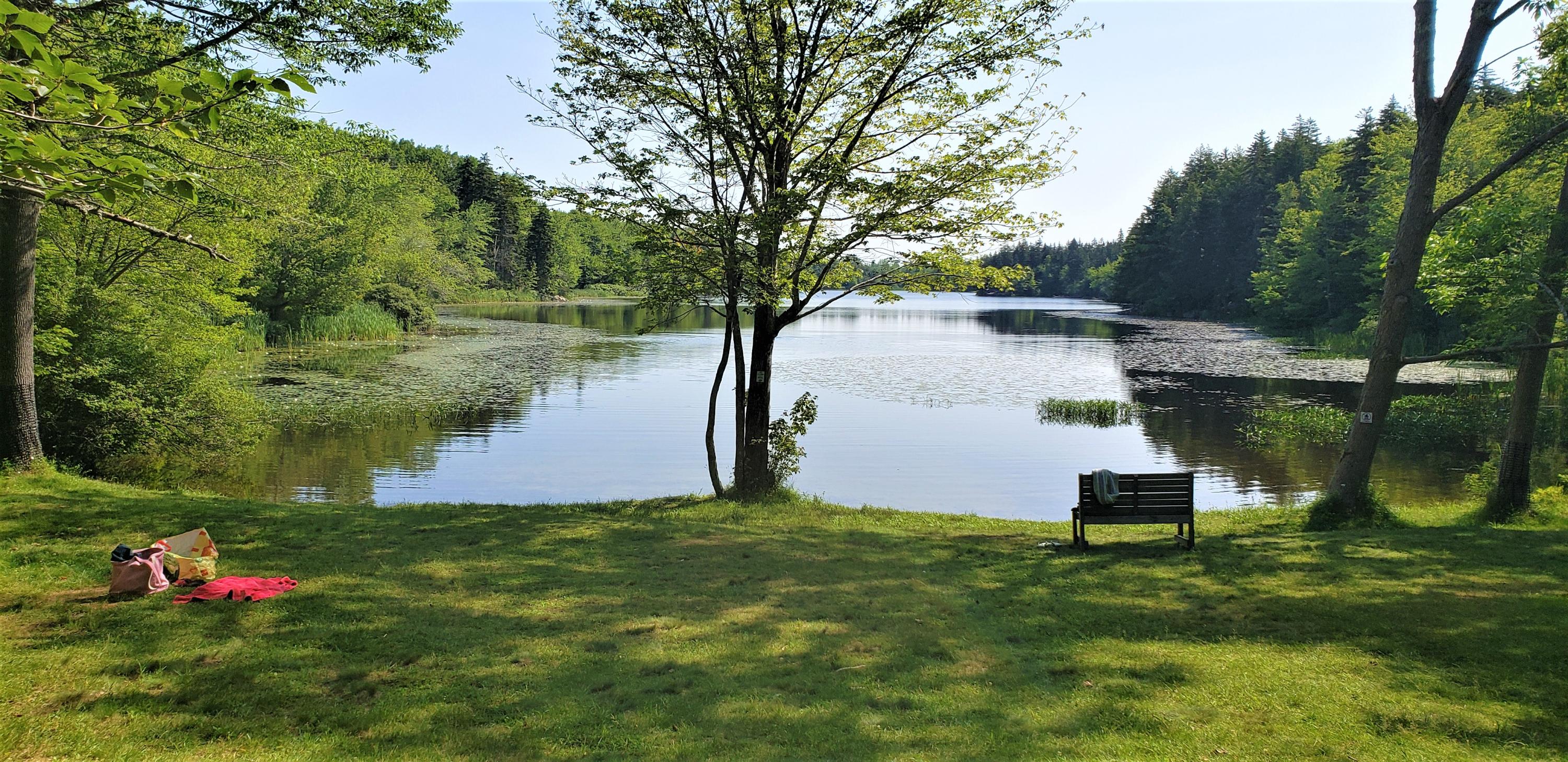 9 Quaco Road Deer Isle, ME 04627 - Photo 2 of 10 Lily Pond summer