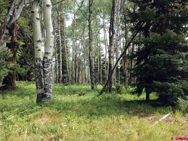 $79,900 | 200 Crest Drive, Cimarron, CO 81220