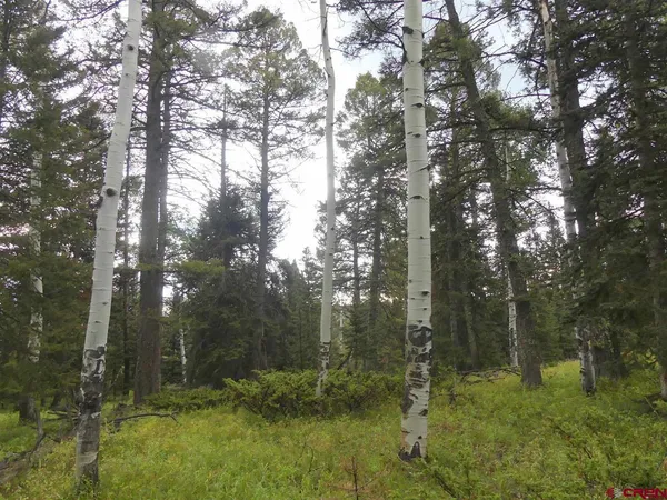 $79,900 | 200 Crest Drive, Cimarron, CO 81220