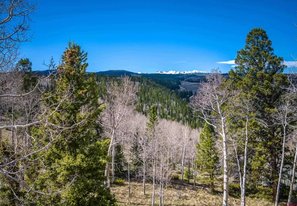 $79,900 | 200 Crest Drive, Cimarron, CO 81220