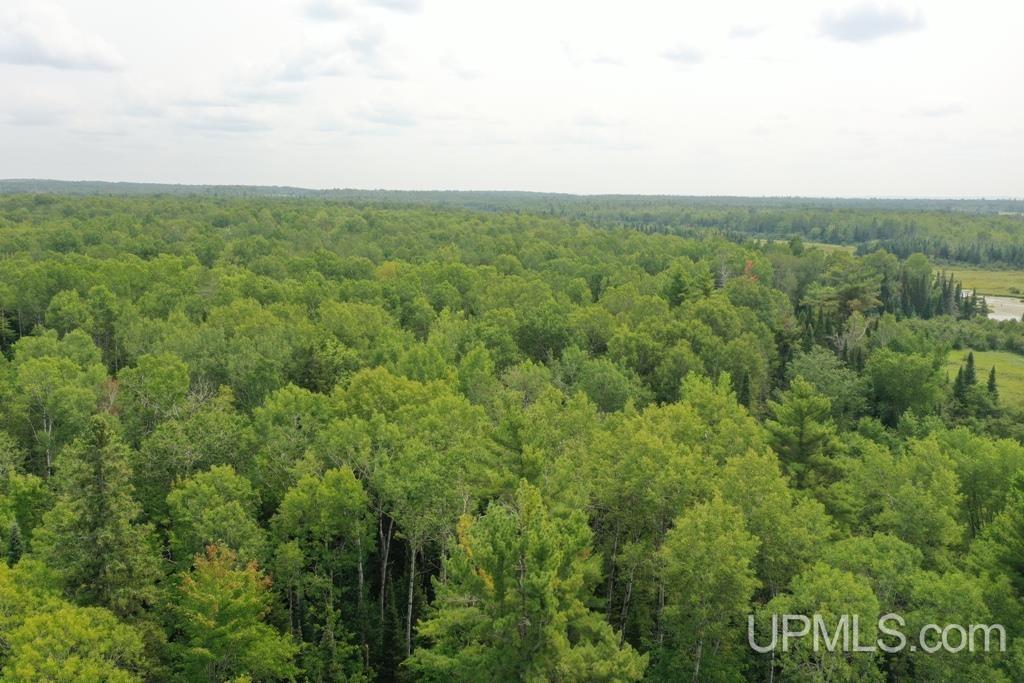 Tbd Tbd Goldberg Road Ewen, MI 49925 - Photo 2 of 6