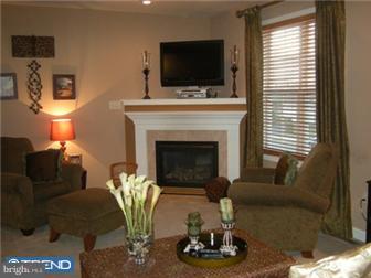 1536 Huron Drive Sinking Spring, PA 19608 - Photo 7 of 12 Fireplace