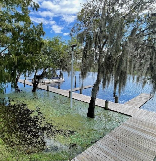 226 River Village Drive DeBary, FL 32713 - Photo 26 of 27 a view of a park with large trees
