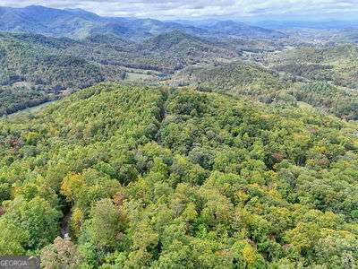 Lot 23 Skyview Overlook Overlook, Unit OVERLOOK Hayesville, NC 28904 - Photo 2 of 10 a view of a lush green field with lots of bushes