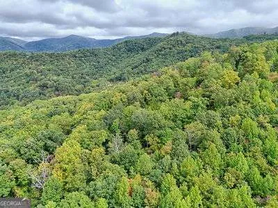 a view of a green field with lots of bushes
