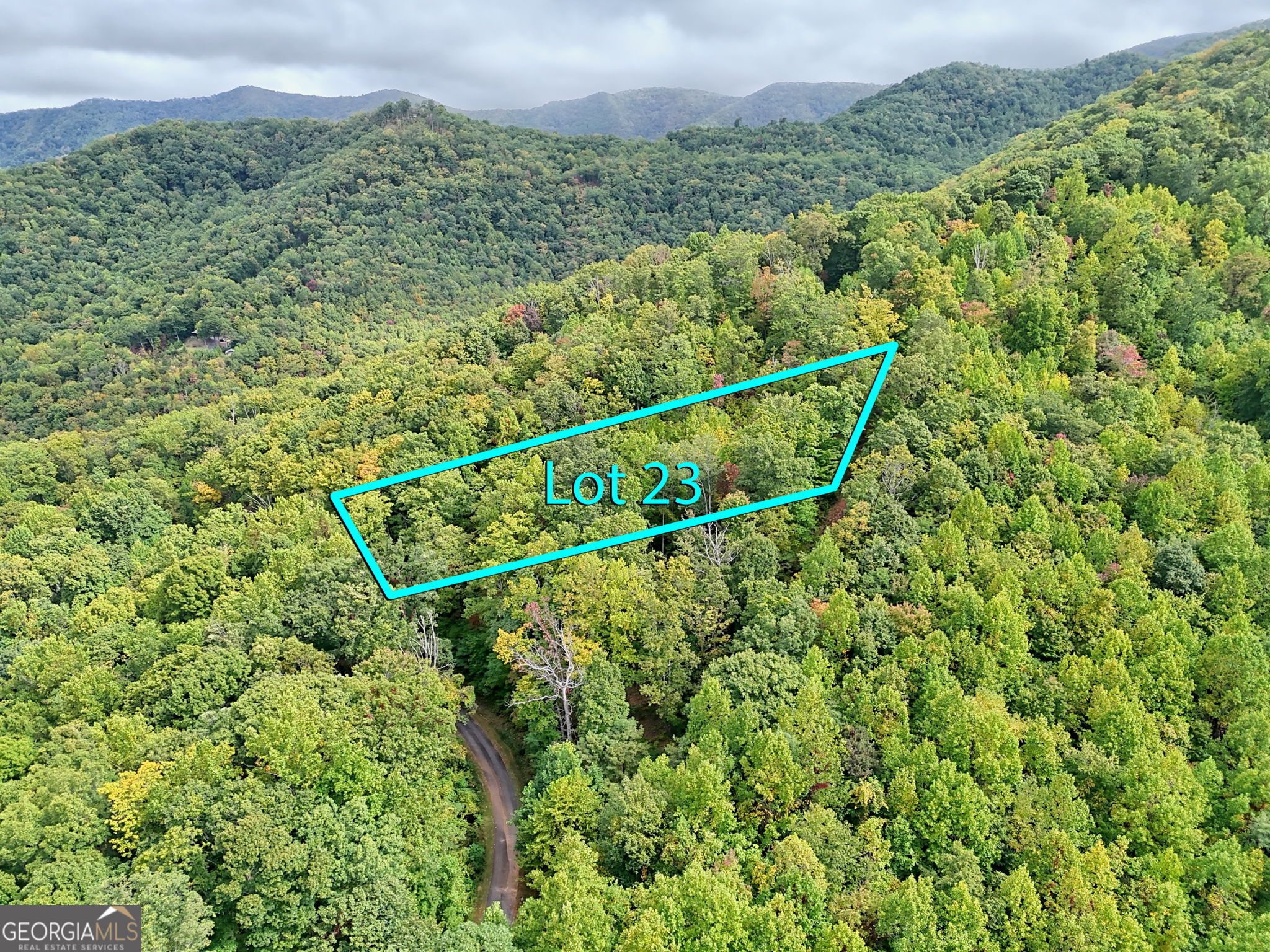 Lot 23 Skyview Overlook Overlook, Unit OVERLOOK Hayesville, NC 28904 - Photo 6 of 10 a view of a green field with a tree in the background