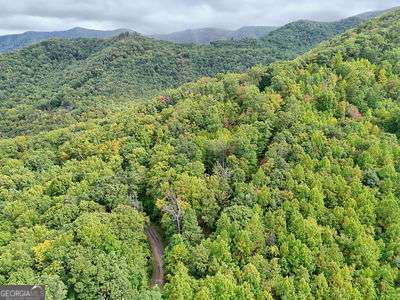 Lot 23 Skyview Overlook Overlook, Unit OVERLOOK Hayesville, NC 28904 - Photo 7 of 10 a view of a green field with lots of bushes