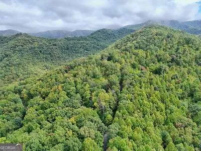 a view of a green field with lots of bushes